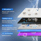 AquaPure Elite Countertop RO System