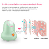 Radiant Glow Nano Ionic Face Steamer